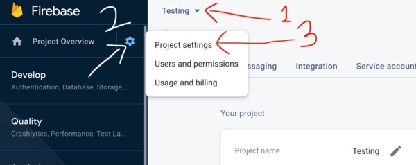 Check Firebase Project Settings