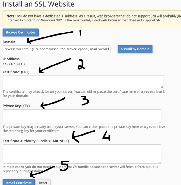 Mange SSL Certificate Image